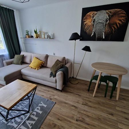 Sienkiewicza Apartament Multi House Rzeszów Εξωτερικό φωτογραφία