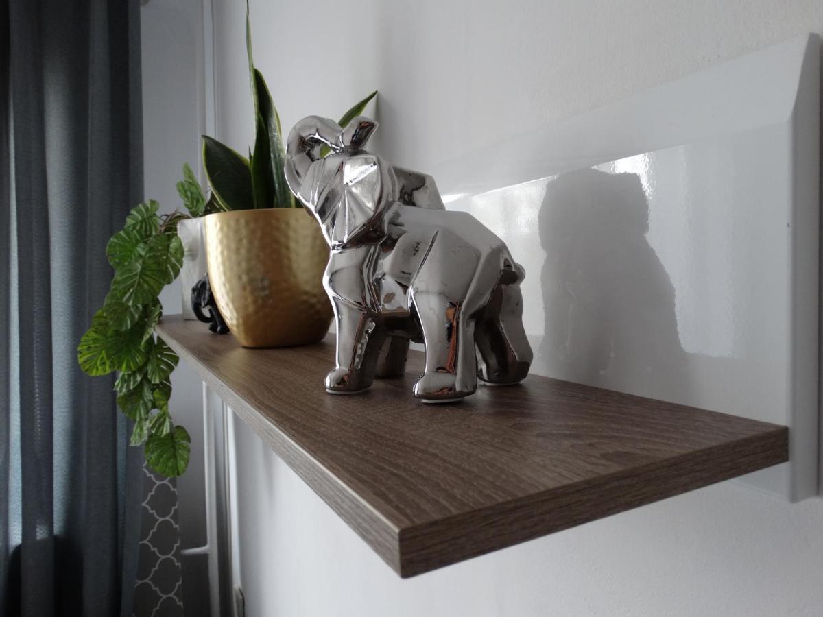 Sienkiewicza Apartament Multi House Rzeszów Εξωτερικό φωτογραφία