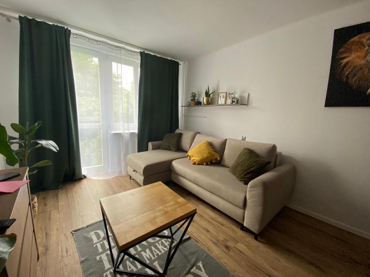 Sienkiewicza Apartament Multi House Rzeszów Εξωτερικό φωτογραφία