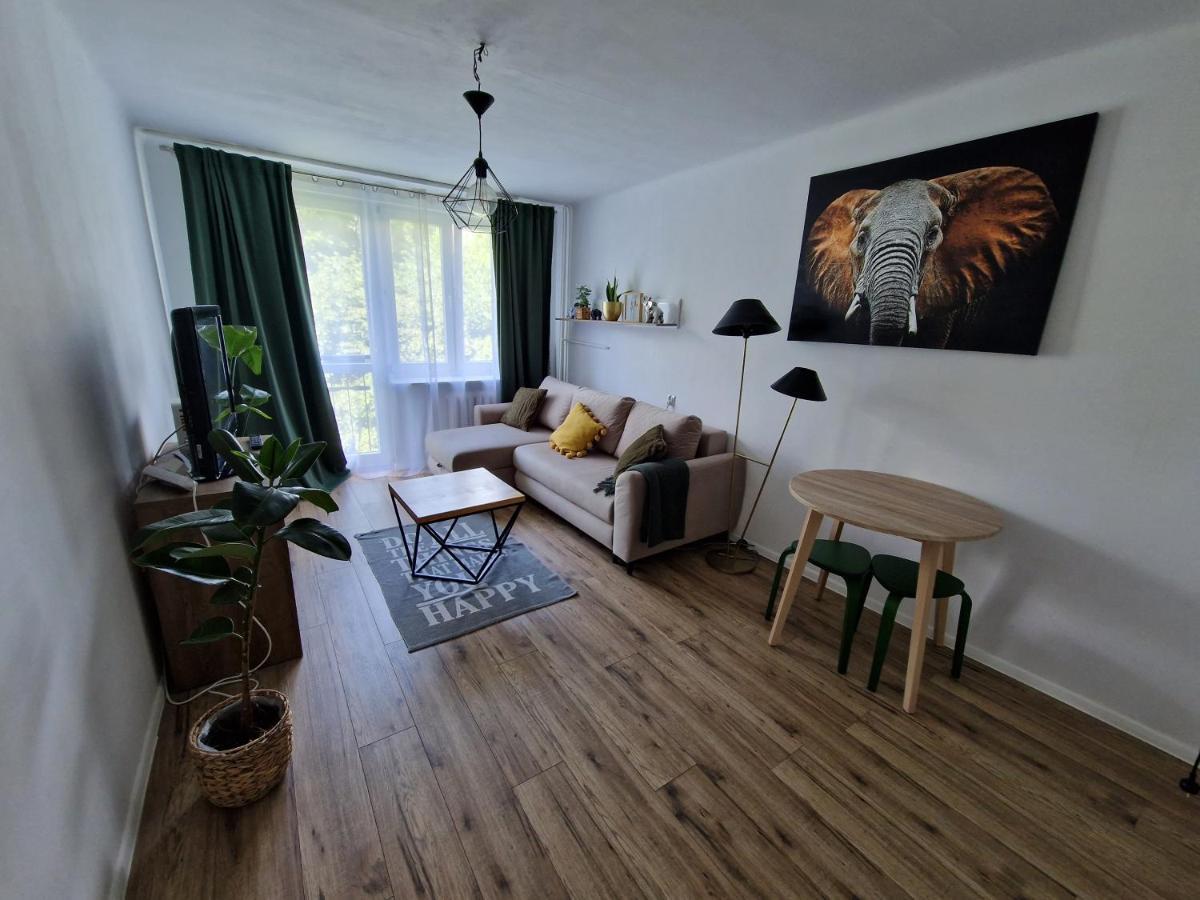 Sienkiewicza Apartament Multi House Rzeszów Εξωτερικό φωτογραφία