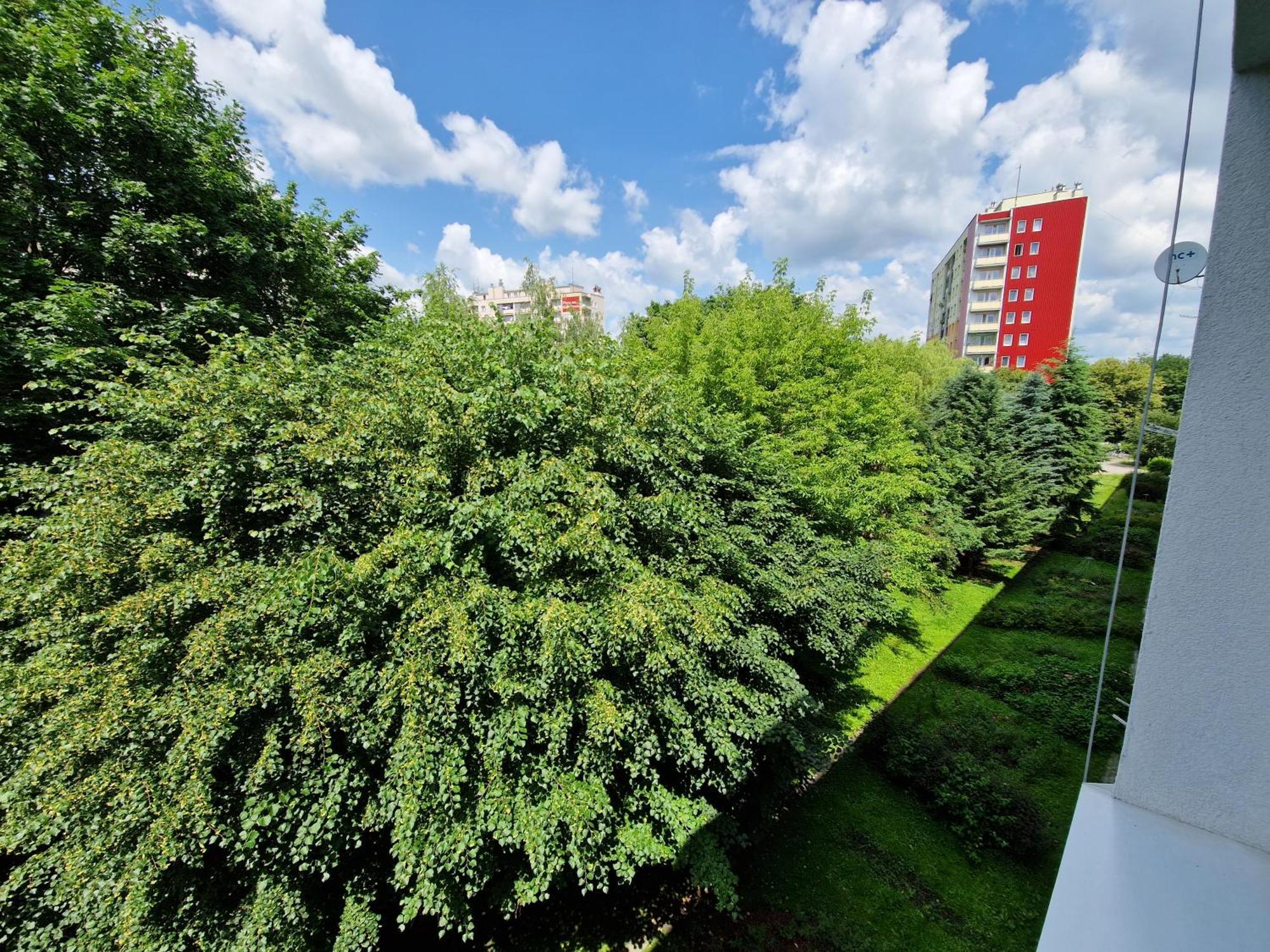 Sienkiewicza Apartament Multi House Rzeszów Εξωτερικό φωτογραφία